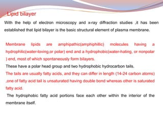 Structure and function of plasma membrane 2 | PPTX