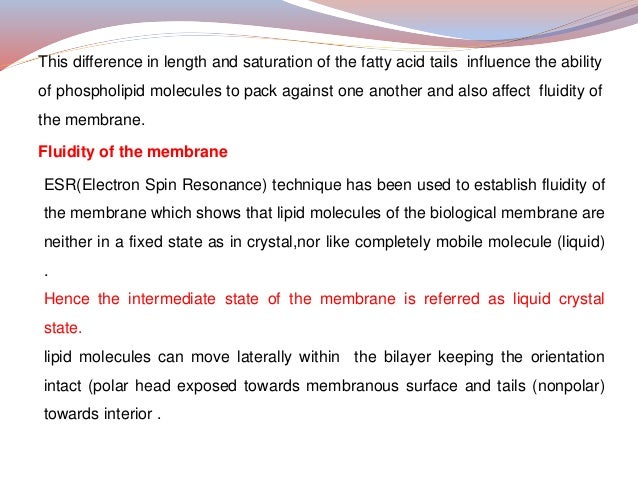 Structure And Function Of Plasma Membrane 2