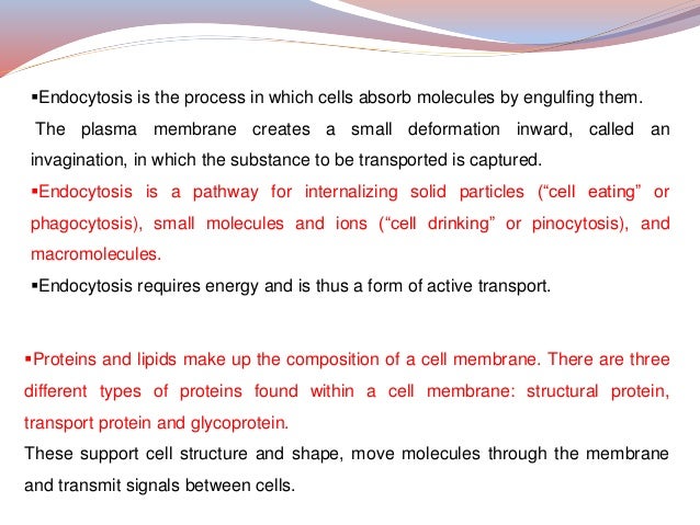 Structure And Function Of Plasma Membrane 2