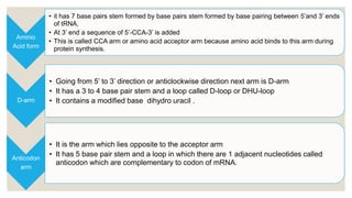 Aminio
Acid form
• it has 7 base pairs stem formed by base pairs stem formed by base pairing between 5’and 3’ ends
of tRNA.
• At 3’ end a sequence of 5’-CCA-3’ is added
• This is called CCA arm or amino acid acceptor arm because amino acid binds to this arm during
protein synthesis.
D-arm
• Going from 5’ to 3’ direction or anticlockwise direction next arm is D-arm
• It has a 3 to 4 base pair stem and a loop called D-loop or DHU-loop
• It contains a modified base dihydro uracil .
Anticodon
arm
• It is the arm which lies opposite to the acceptor arm
• It has 5 base pair stem and a loop in which there are 1 adjacent nucleotides called
anticodon which are complementary to codon of mRNA.
 