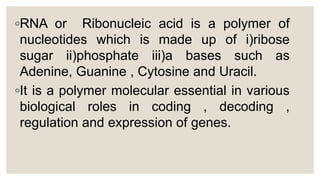 ◦RNA or Ribonucleic acid is a polymer of
nucleotides which is made up of i)ribose
sugar ii)phosphate iii)a bases such as
Adenine, Guanine , Cytosine and Uracil.
◦It is a polymer molecular essential in various
biological roles in coding , decoding ,
regulation and expression of genes.
 