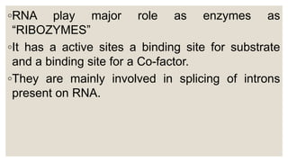◦RNA play major role as enzymes as
“RIBOZYMES”
◦It has a active sites a binding site for substrate
and a binding site for a Co-factor.
◦They are mainly involved in splicing of introns
present on RNA.
 