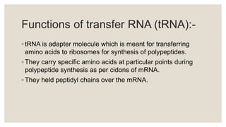Functions of transfer RNA (tRNA):-
◦ tRNA is adapter molecule which is meant for transferring
amino acids to ribosomes for synthesis of polypeptides.
◦ They carry specific amino acids at particular points during
polypeptide synthesis as per cidons of mRNA.
◦ They held peptidyl chains over the mRNA.
 