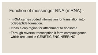 Function of messenger RNA (mRNA):-
◦mRNA carries coded information for translation into
polypeptide formation.
◦It has a cap region for attachment to ribosome.
◦Through reverse transcription it form compact genes
which are used in GENETIC ENGINEERING.
 