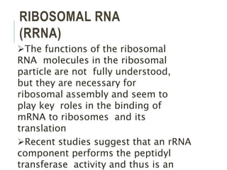 Structure and function of RNA.pptx