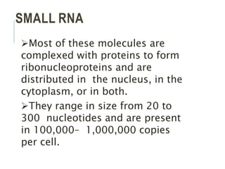 Structure and function of RNA.pptx
