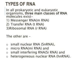 Structure and function of RNA.pptx