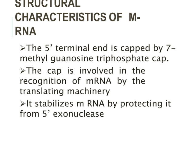 Structure and function of RNA.pptx