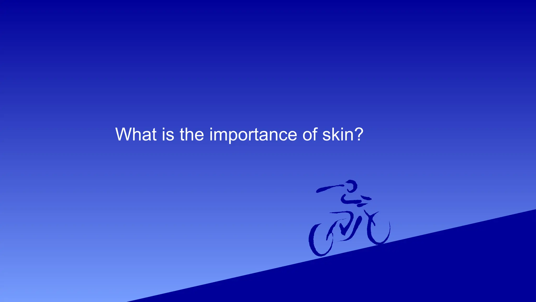 What is the importance of skin?
 
