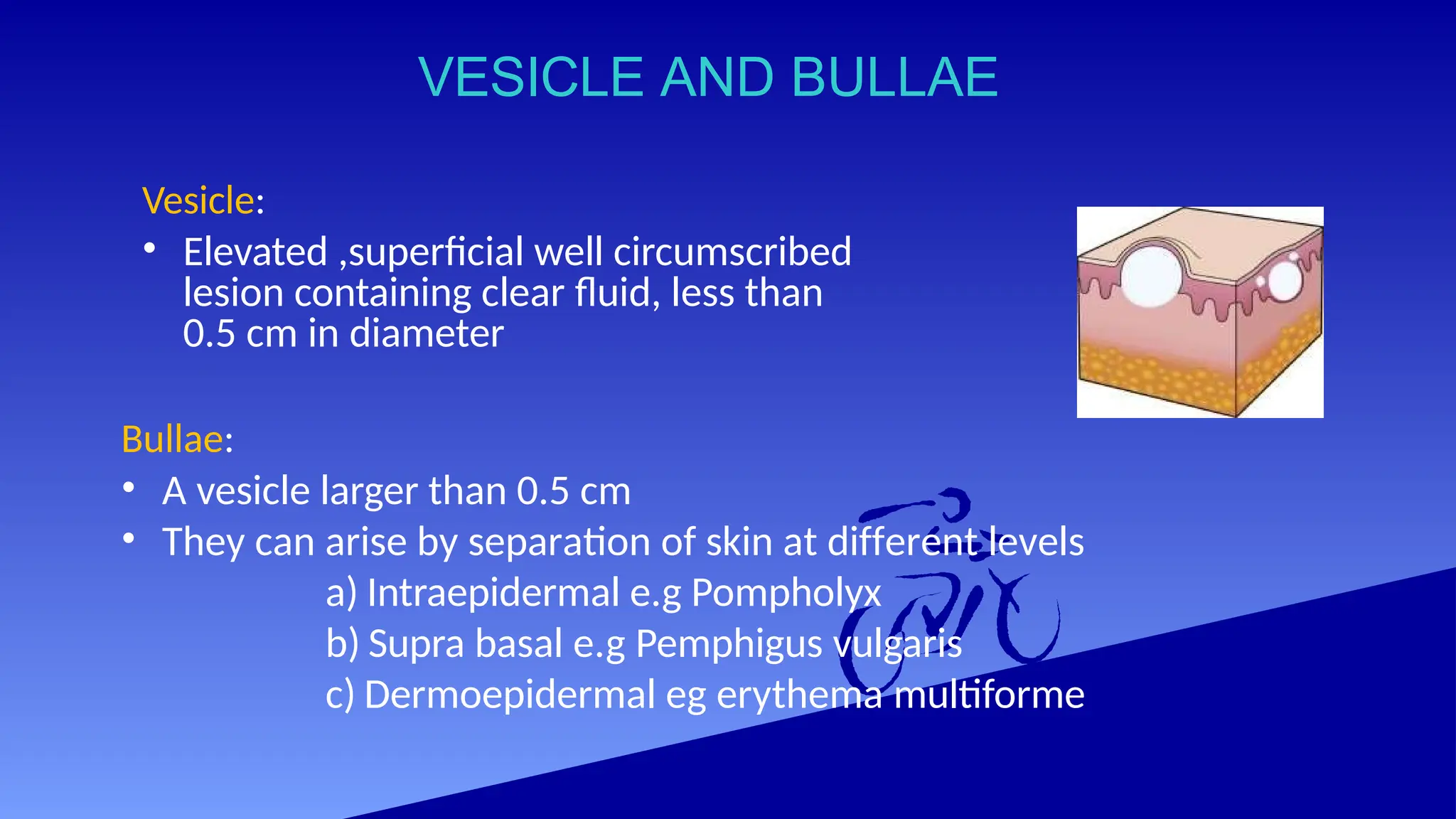 VESICLE AND BULLAE
Vesicle:
• Elevated ,superficial well circumscribed
lesion containing clear fluid, less than
0.5 cm in diameter
Bullae:
• A vesicle larger than 0.5 cm
• They can arise by separation of skin at different levels
a) Intraepidermal e.g Pompholyx
b) Supra basal e.g Pemphigus vulgaris
c) Dermoepidermal eg erythema multiforme
 