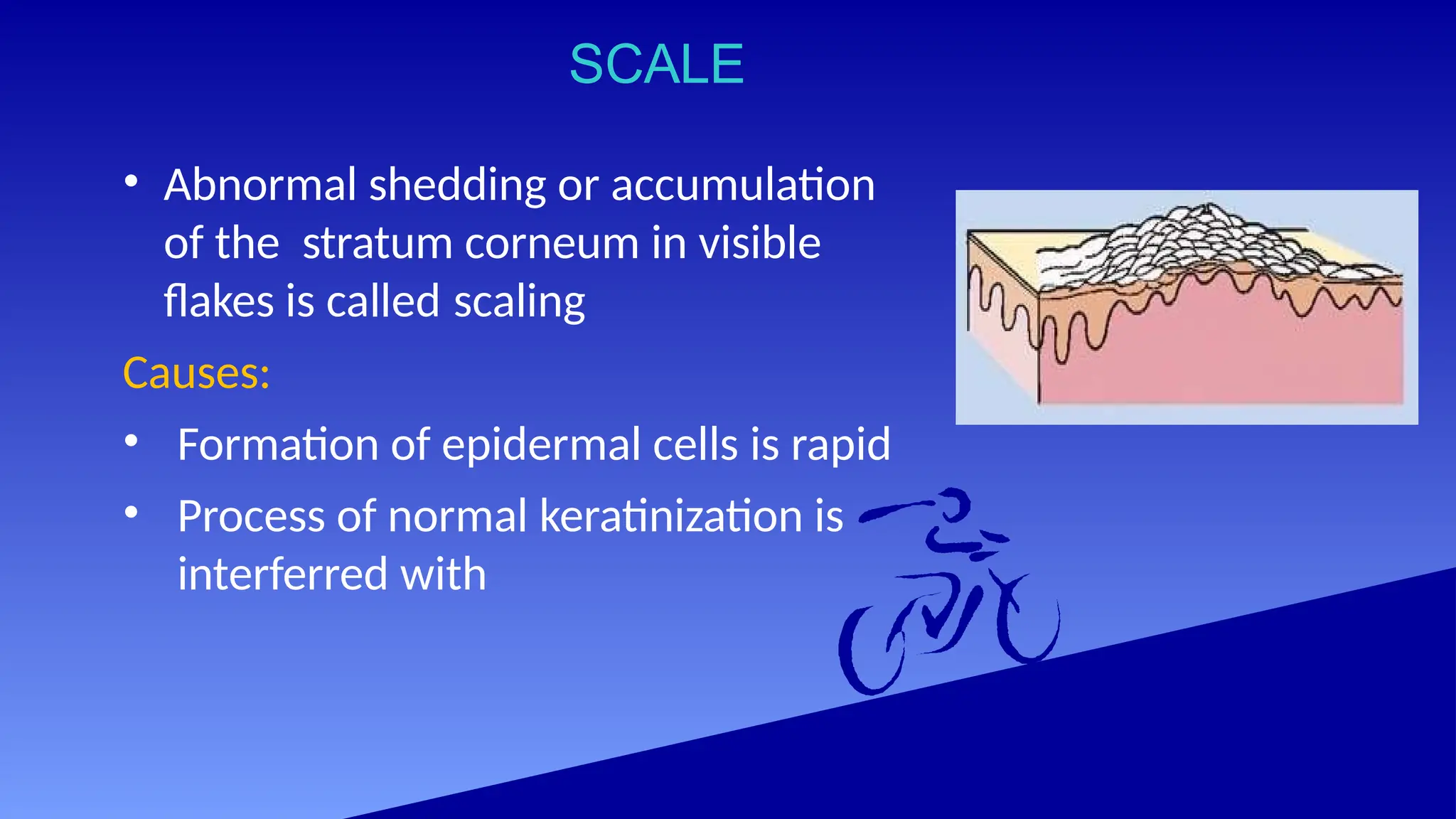 SCALE
• Abnormal shedding or accumulation
of the stratum corneum in visible
flakes is called scaling
Causes:
• Formation of epidermal cells is rapid
• Process of normal keratinization is
interferred with
 