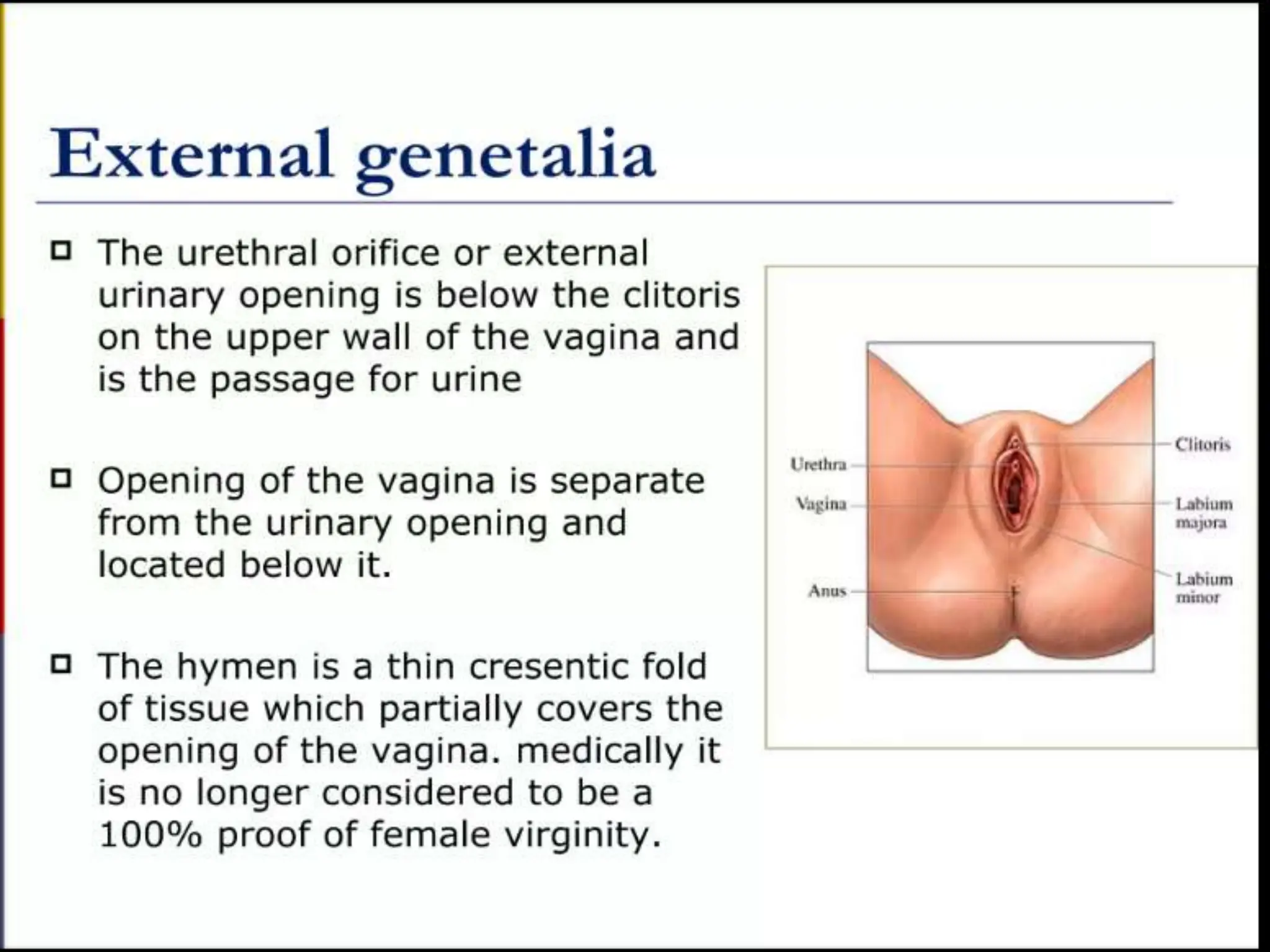 STRUCTURE AND FUNCTION OF THE FEMALE REPRODUCTIVE SYSTEM.pptx
