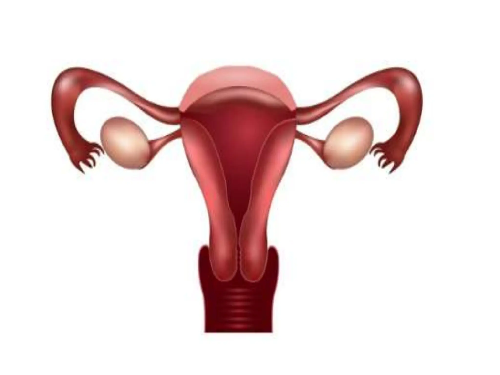 STRUCTURE AND FUNCTION OF THE FEMALE REPRODUCTIVE SYSTEM.pptx