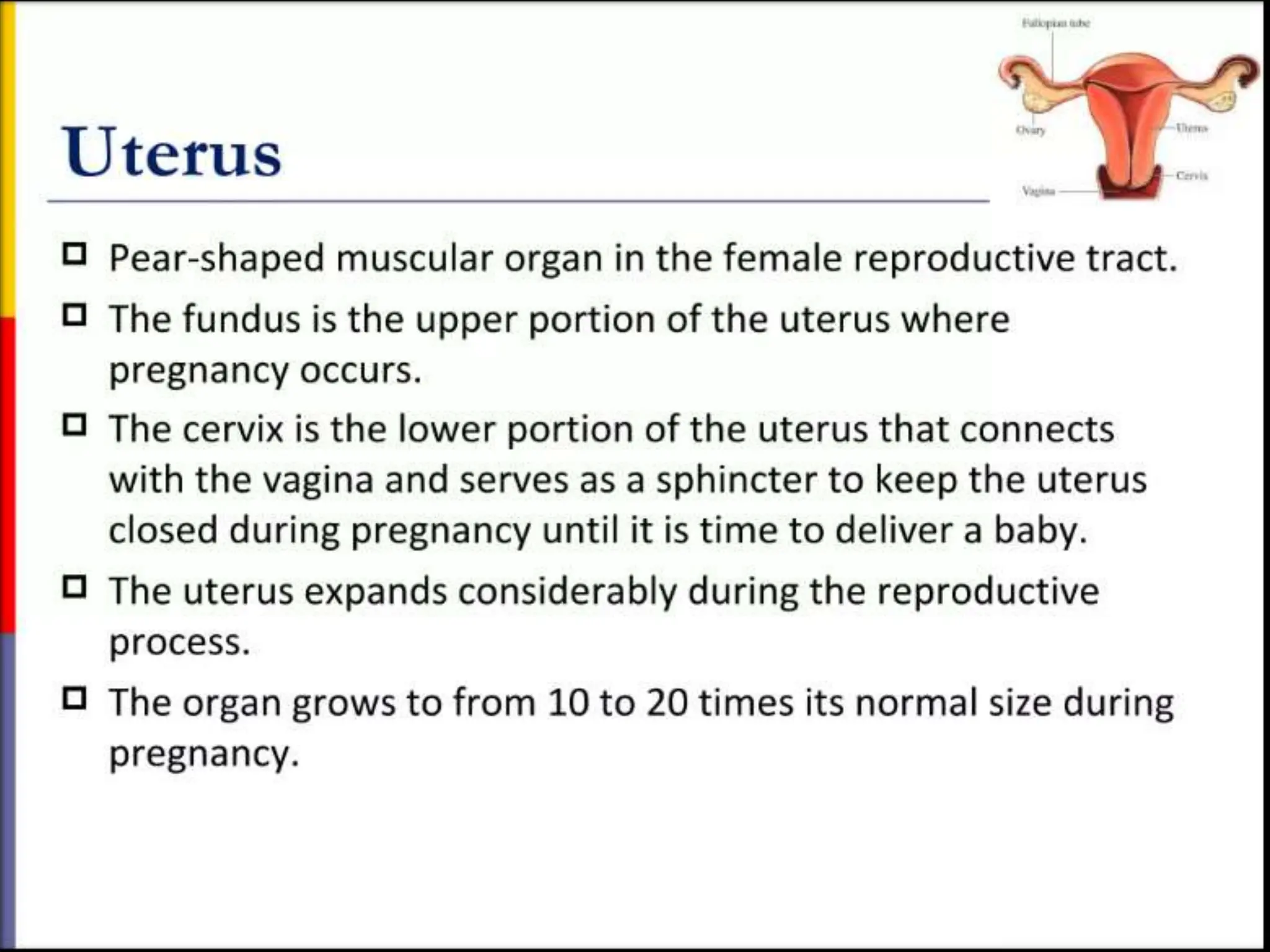 STRUCTURE AND FUNCTION OF THE FEMALE REPRODUCTIVE SYSTEM.pptx