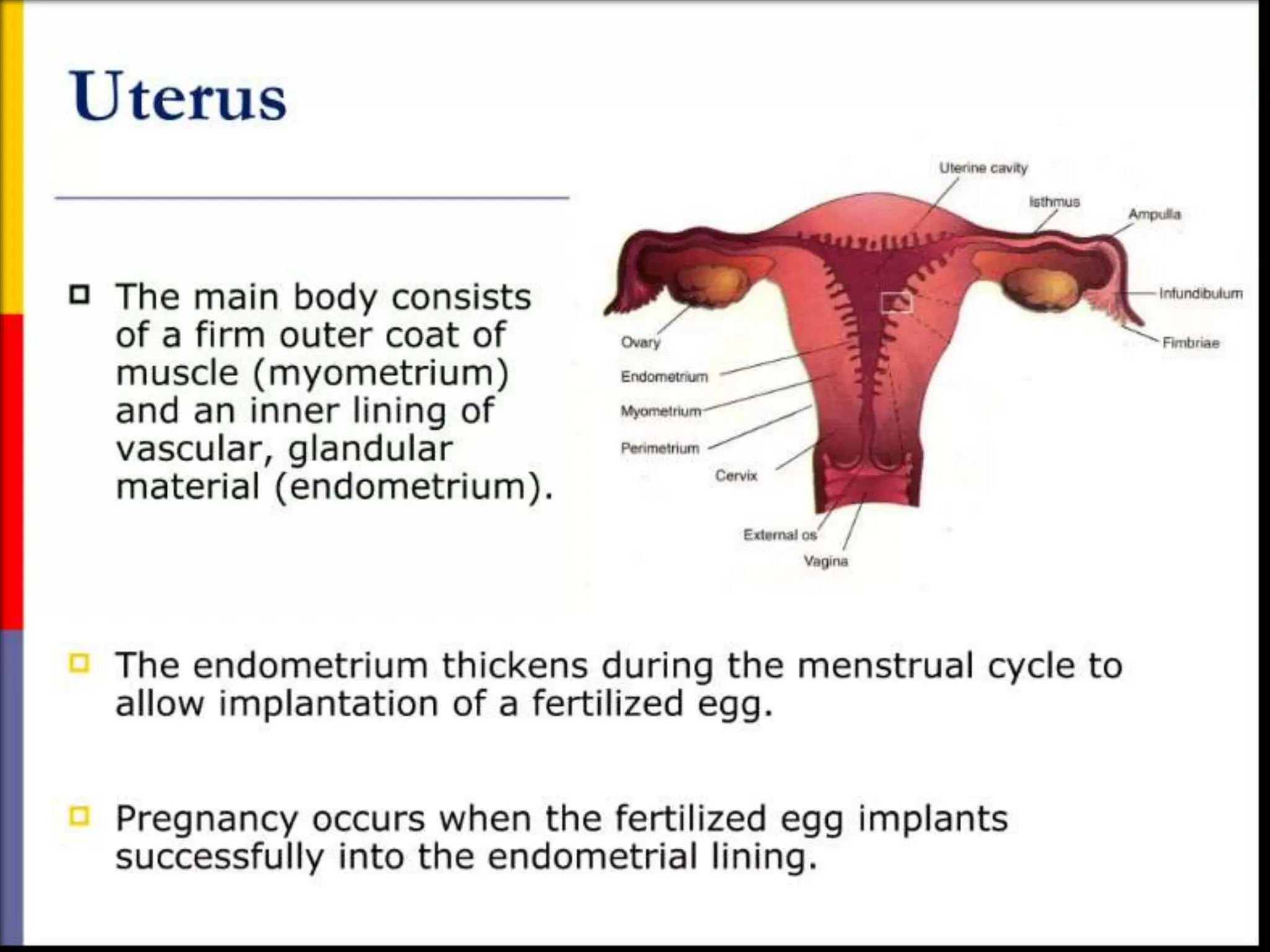 STRUCTURE AND FUNCTION OF THE FEMALE REPRODUCTIVE SYSTEM.pptx