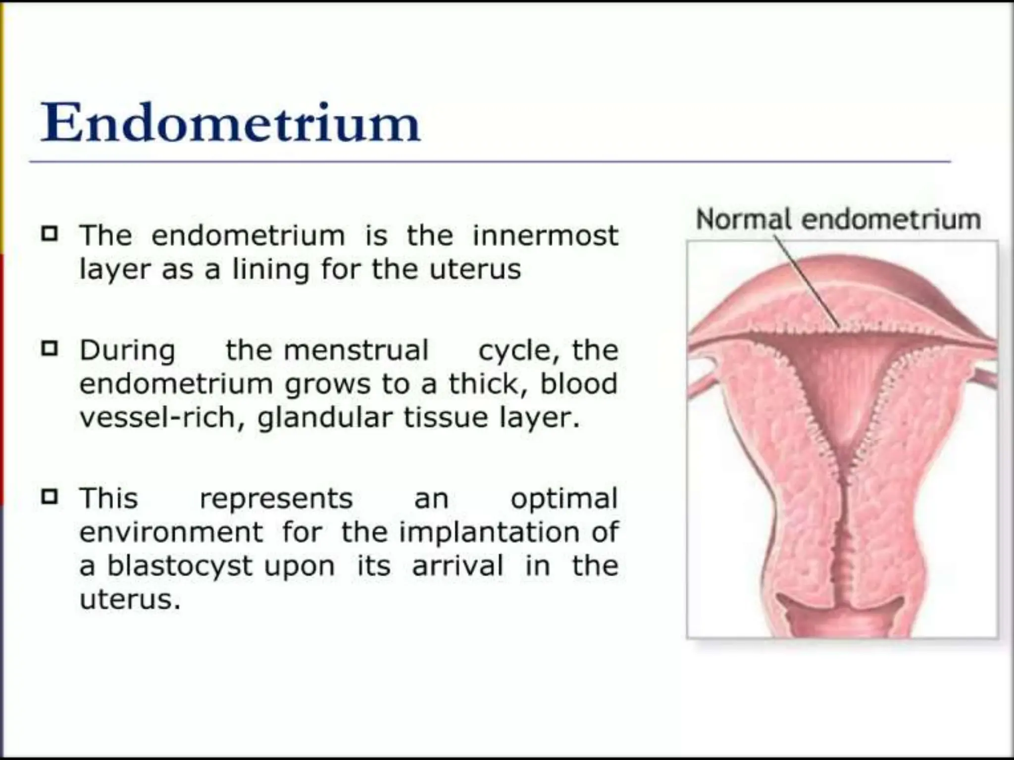 STRUCTURE AND FUNCTION OF THE FEMALE REPRODUCTIVE SYSTEM.pptx