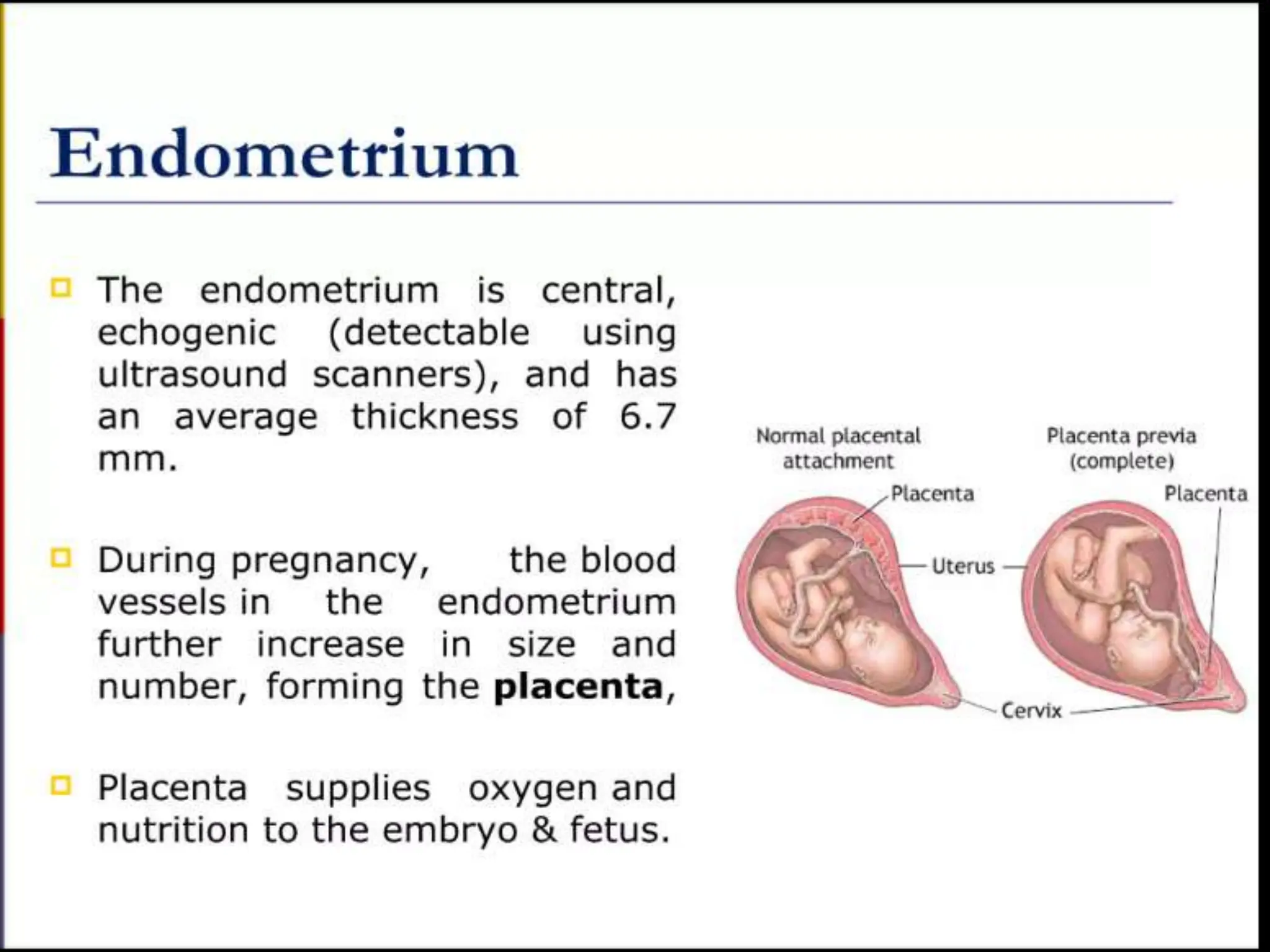 STRUCTURE AND FUNCTION OF THE FEMALE REPRODUCTIVE SYSTEM.pptx
