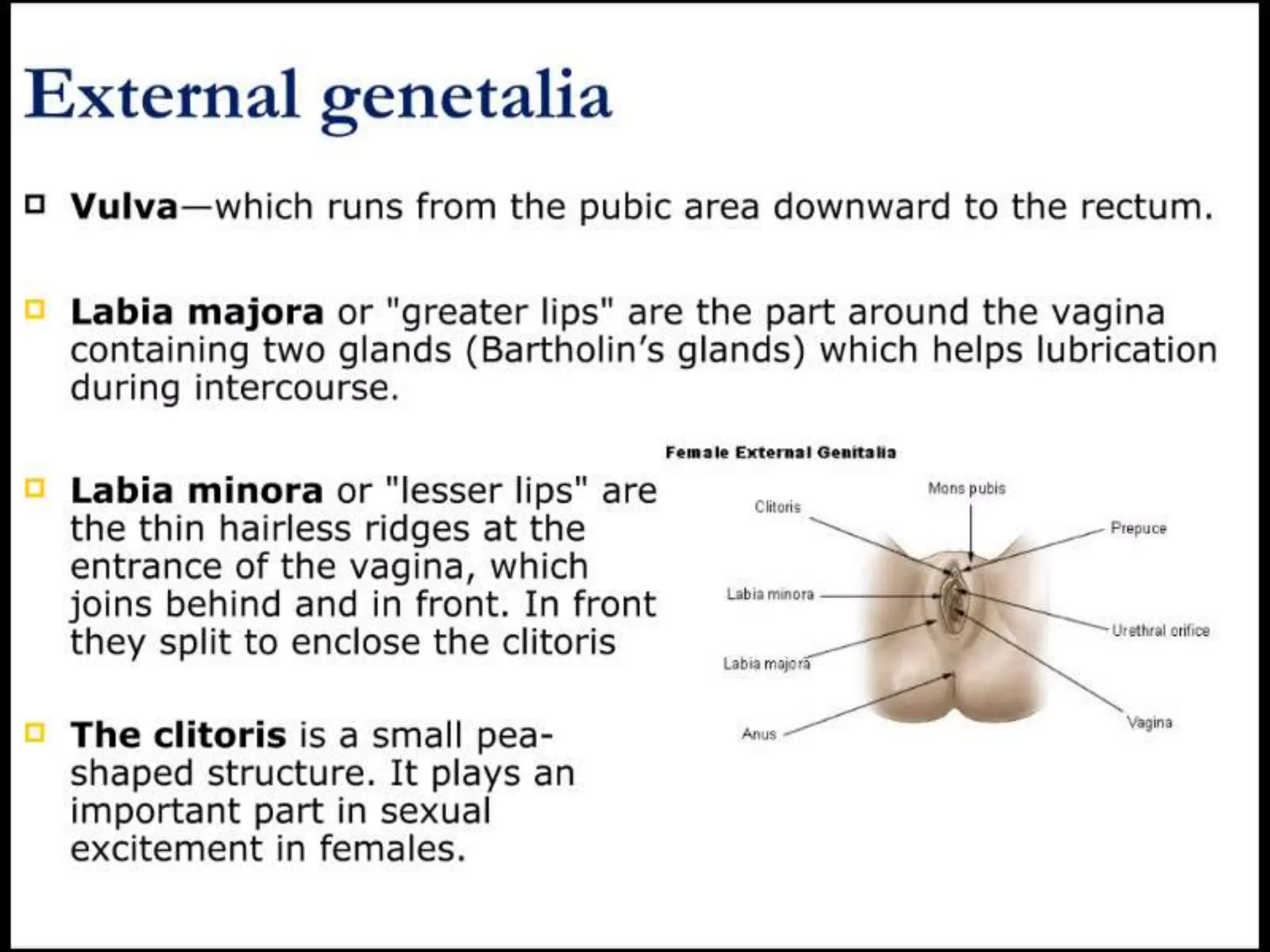 STRUCTURE AND FUNCTION OF THE FEMALE REPRODUCTIVE SYSTEM.pptx