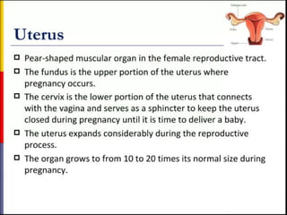 STRUCTURE AND FUNCTION OF THE FEMALE REPRODUCTIVE SYSTEM.pptx