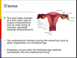 STRUCTURE AND FUNCTION OF THE FEMALE REPRODUCTIVE SYSTEM.pptx