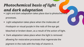 Structure and function of the human eye.pdf