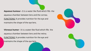 Viterous Humor Function Structure and function of the human eye.pdf