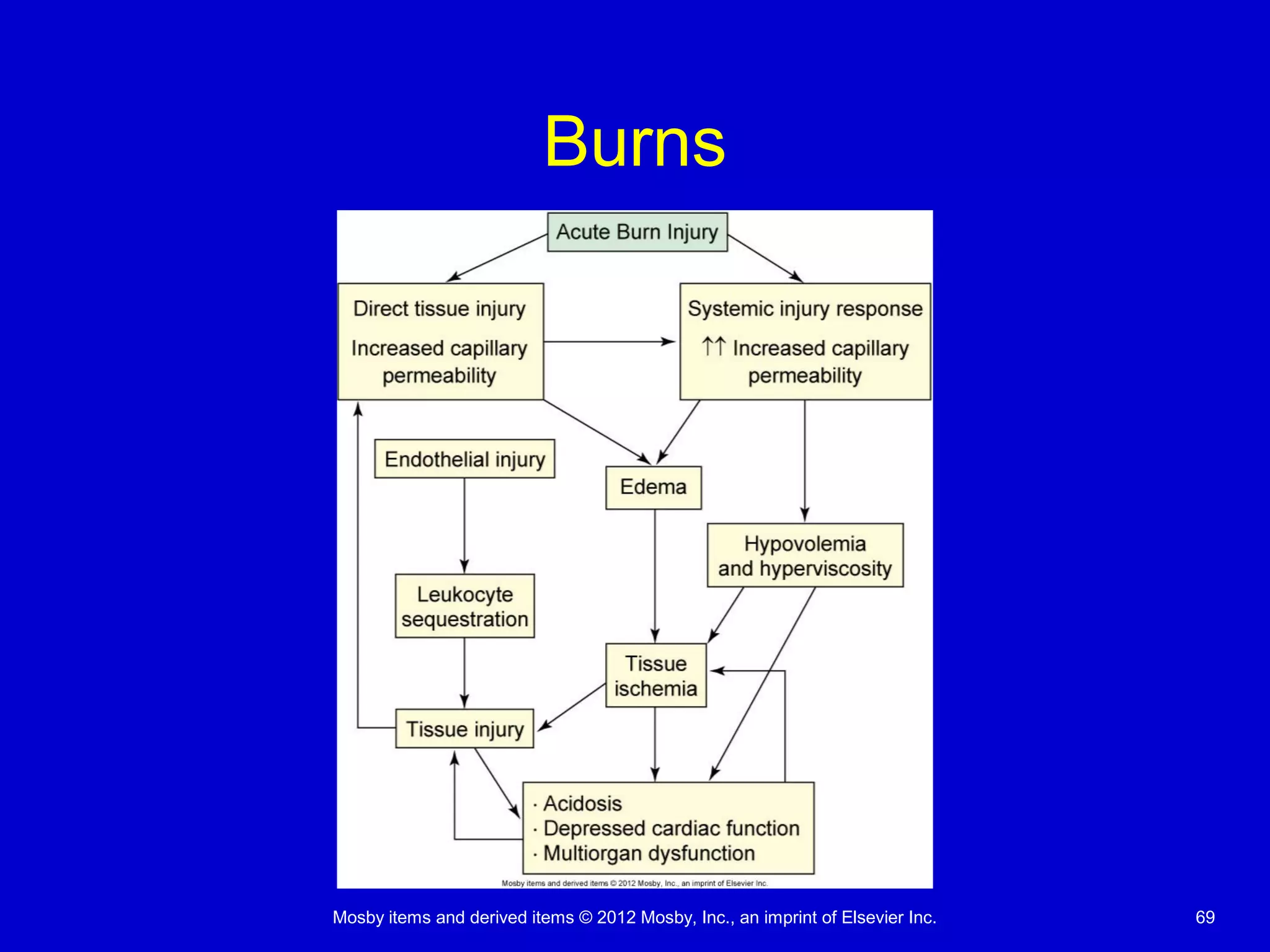Mosby items and derived items © 2012 Mosby, Inc., an imprint of Elsevier Inc. 69
Burns
 