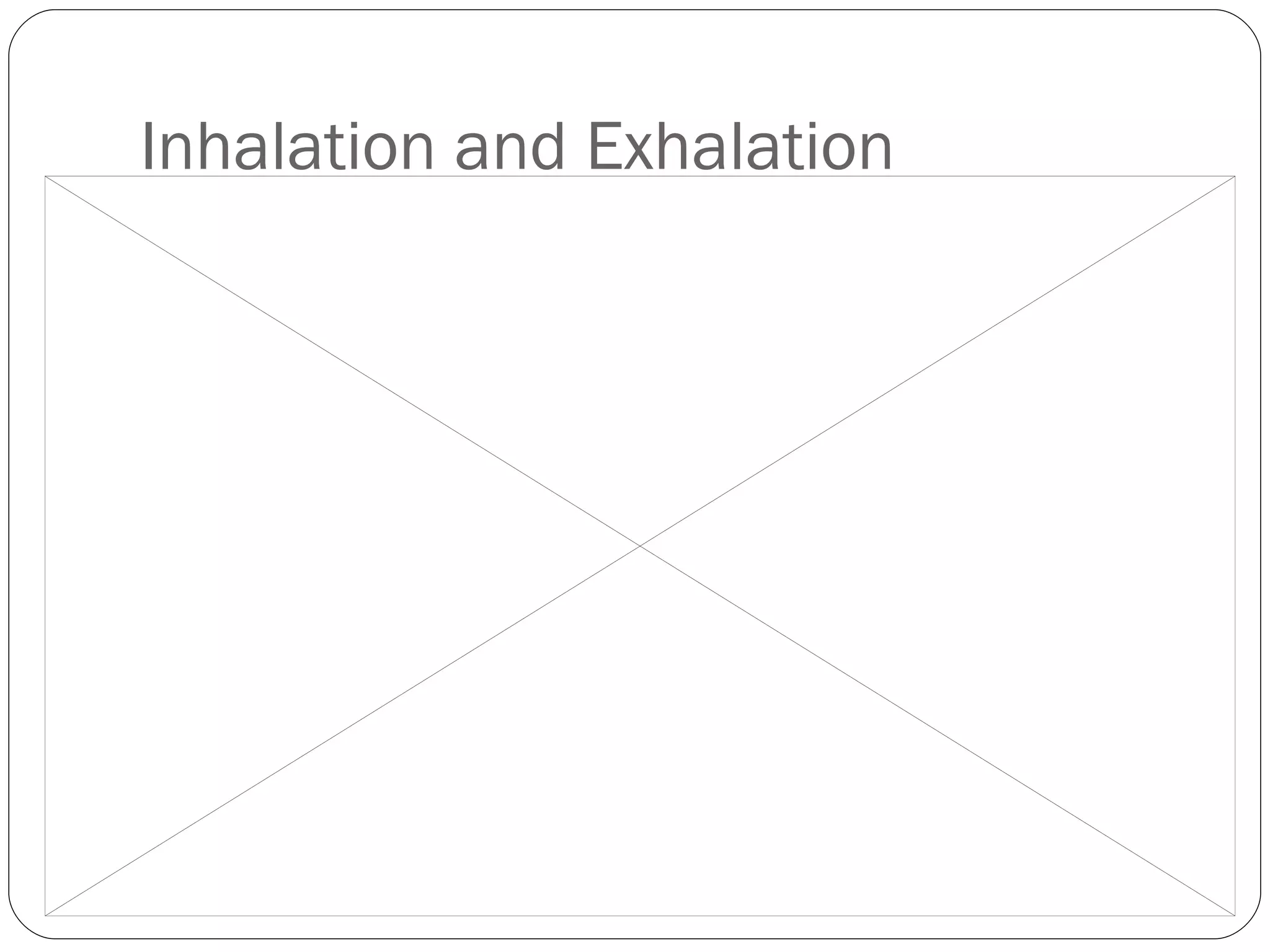 Inhalation and Exhalation 