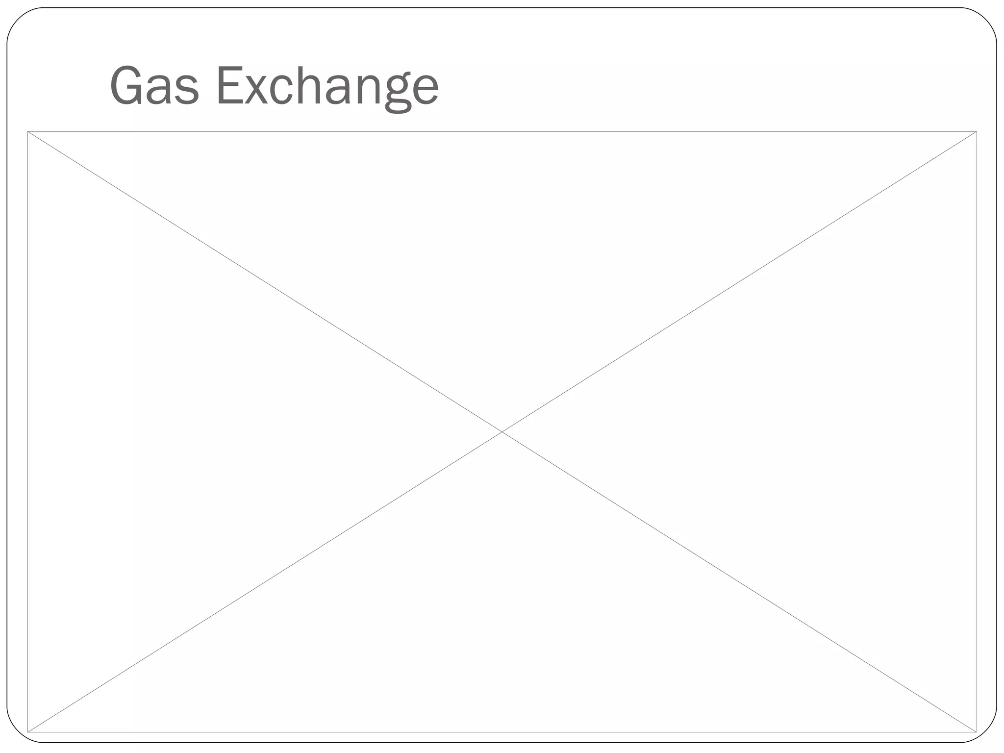 Gas Exchange 
