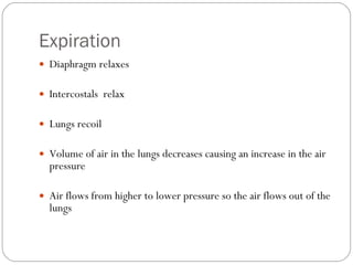 Expiration Diaphragm relaxes Intercostals  relax Lungs recoil  Volume of air in the lungs decreases causing an increase in the air pressure Air flows from higher to lower pressure so the air flows out of the lungs 