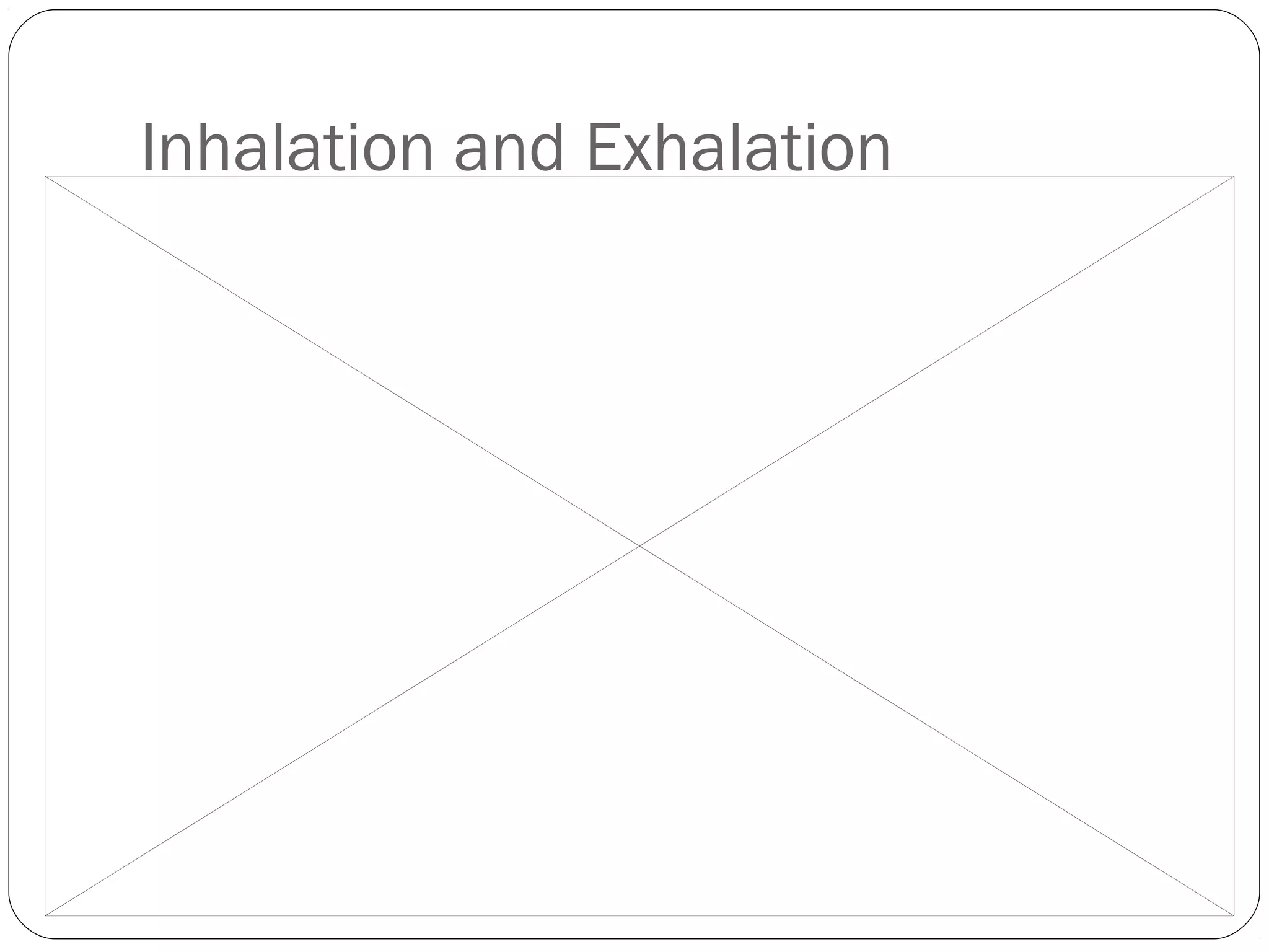 Inhalation and Exhalation

 