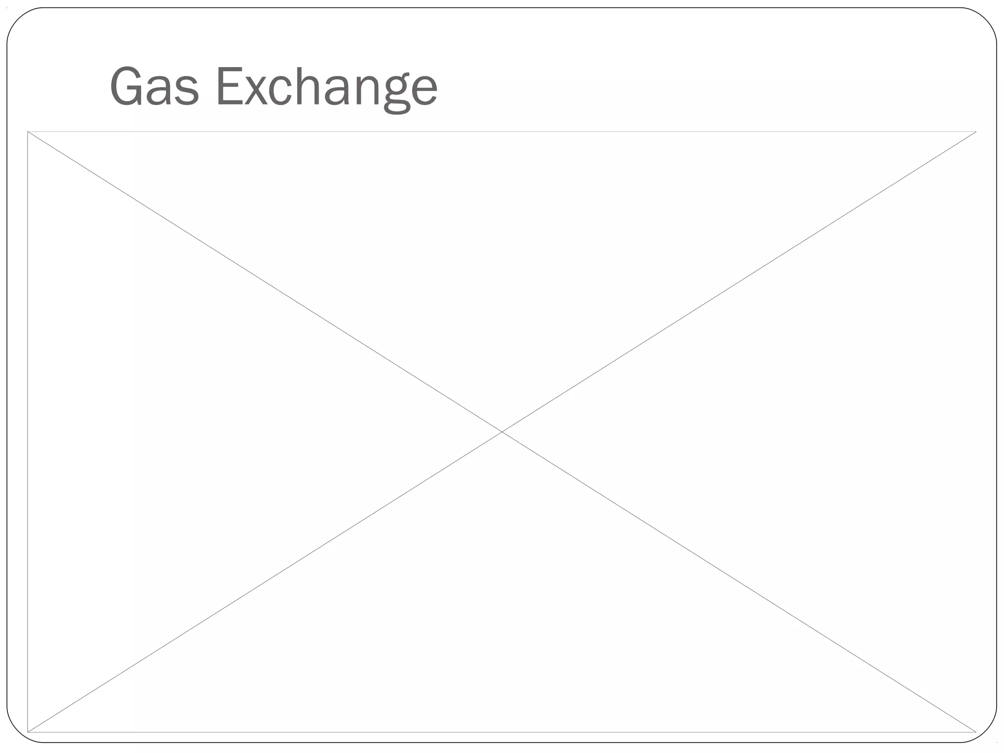 Gas Exchange

 