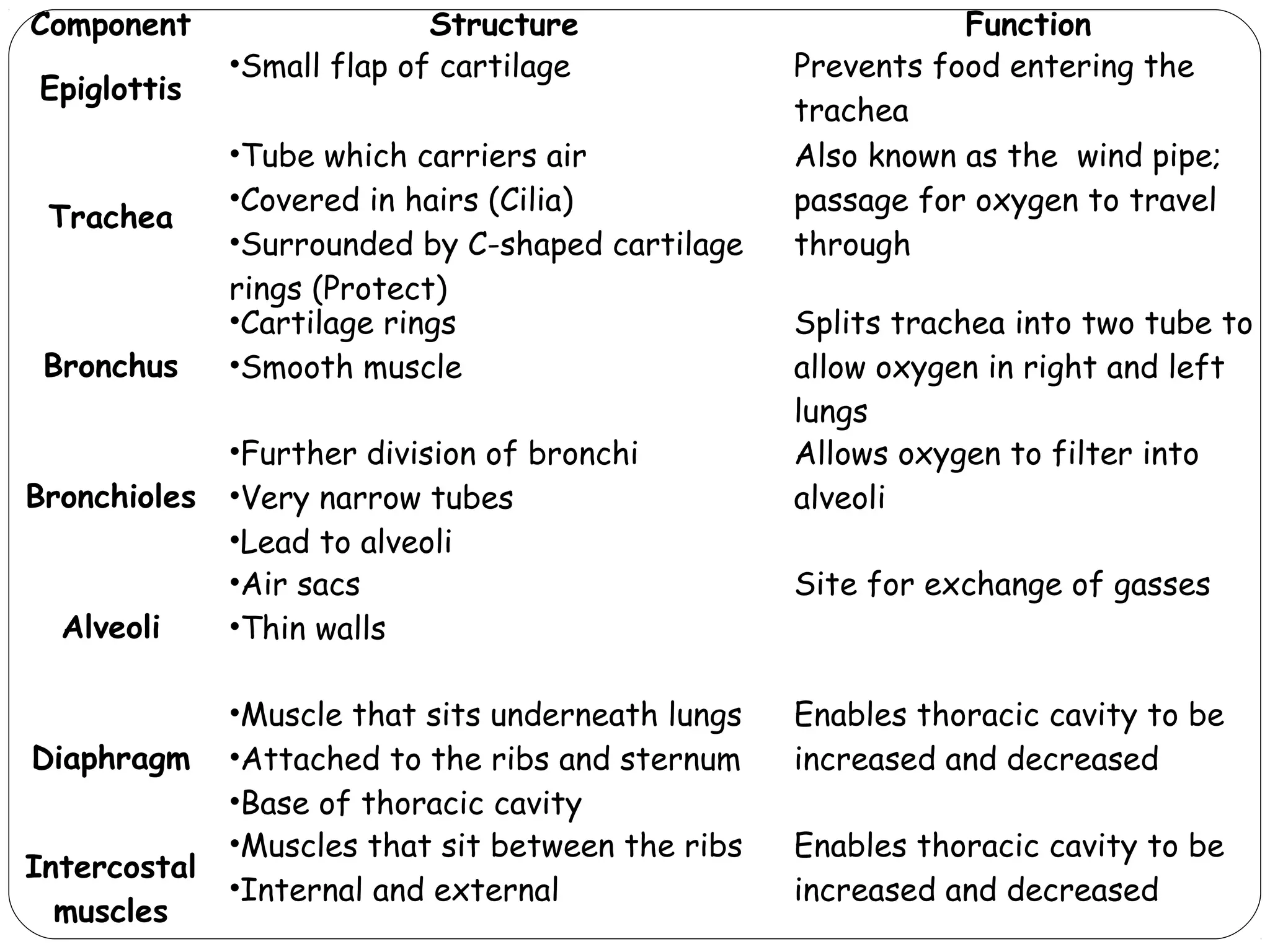 Component
Epiglottis

Trachea

Bronchus

Bronchioles

Alveoli

Diaphragm
Intercostal
muscles

Structure
•Small flap of cartilage
•Tube which carriers air
•Covered in hairs (Cilia)
•Surrounded by C-shaped cartilage
rings (Protect)
•Cartilage rings
•Smooth muscle
•Further division of bronchi
•Very narrow tubes
•Lead to alveoli
•Air sacs
•Thin walls
•Muscle that sits underneath lungs
•Attached to the ribs and sternum
•Base of thoracic cavity
•Muscles that sit between the ribs
•Internal and external

Function
Prevents food entering the
trachea
Also known as the wind pipe;
passage for oxygen to travel
through
Splits trachea into two tube to
allow oxygen in right and left
lungs
Allows oxygen to filter into
alveoli
Site for exchange of gasses

Enables thoracic cavity to be
increased and decreased
Enables thoracic cavity to be
increased and decreased

 