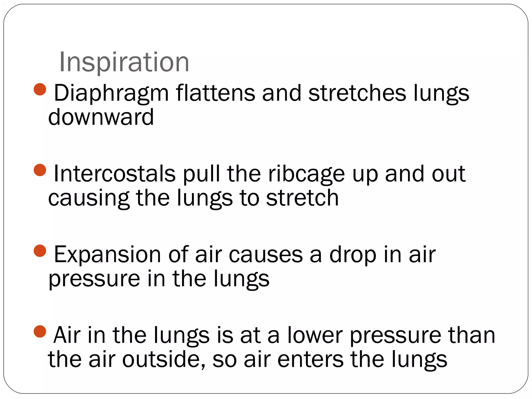 Inspiration
Diaphragm flattens and stretches lungs

downward

Intercostals pull the ribcage up and out

causing the lungs to stretch

Expansion of air causes a drop in air

pressure in the lungs

Air in the lungs is at a lower pressure than

the air outside, so air enters the lungs

 