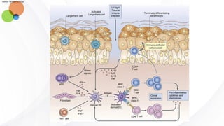 Skin Module Structure and function of the skin - module da | PDF