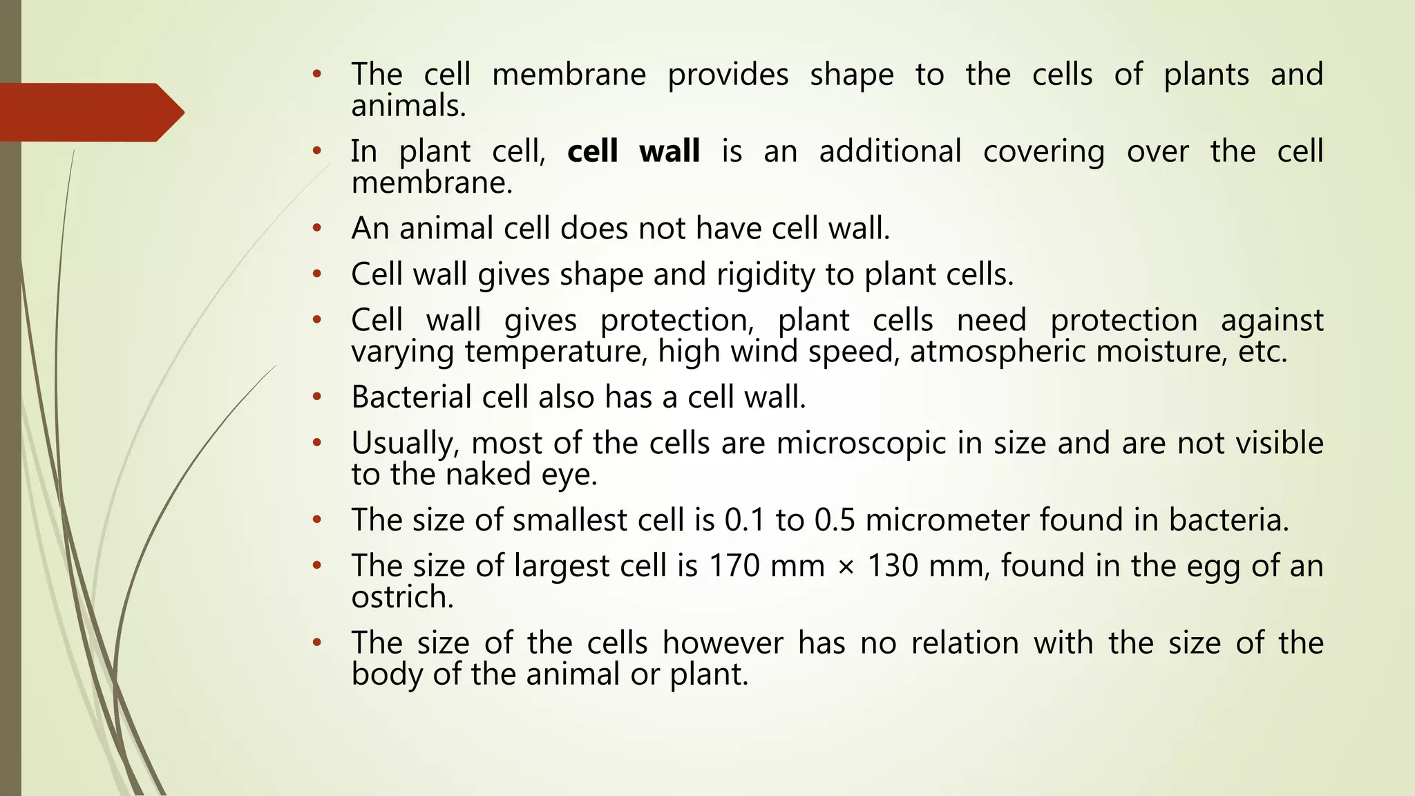 • The cell membrane provides shape to the cells of plants and
animals.
• In plant cell, cell wall is an additional covering over the cell
membrane.
• An animal cell does not have cell wall.
• Cell wall gives shape and rigidity to plant cells.
• Cell wall gives protection, plant cells need protection against
varying temperature, high wind speed, atmospheric moisture, etc.
• Bacterial cell also has a cell wall.
• Usually, most of the cells are microscopic in size and are not visible
to the naked eye.
• The size of smallest cell is 0.1 to 0.5 micrometer found in bacteria.
• The size of largest cell is 170 mm × 130 mm, found in the egg of an
ostrich.
• The size of the cells however has no relation with the size of the
body of the animal or plant.
 