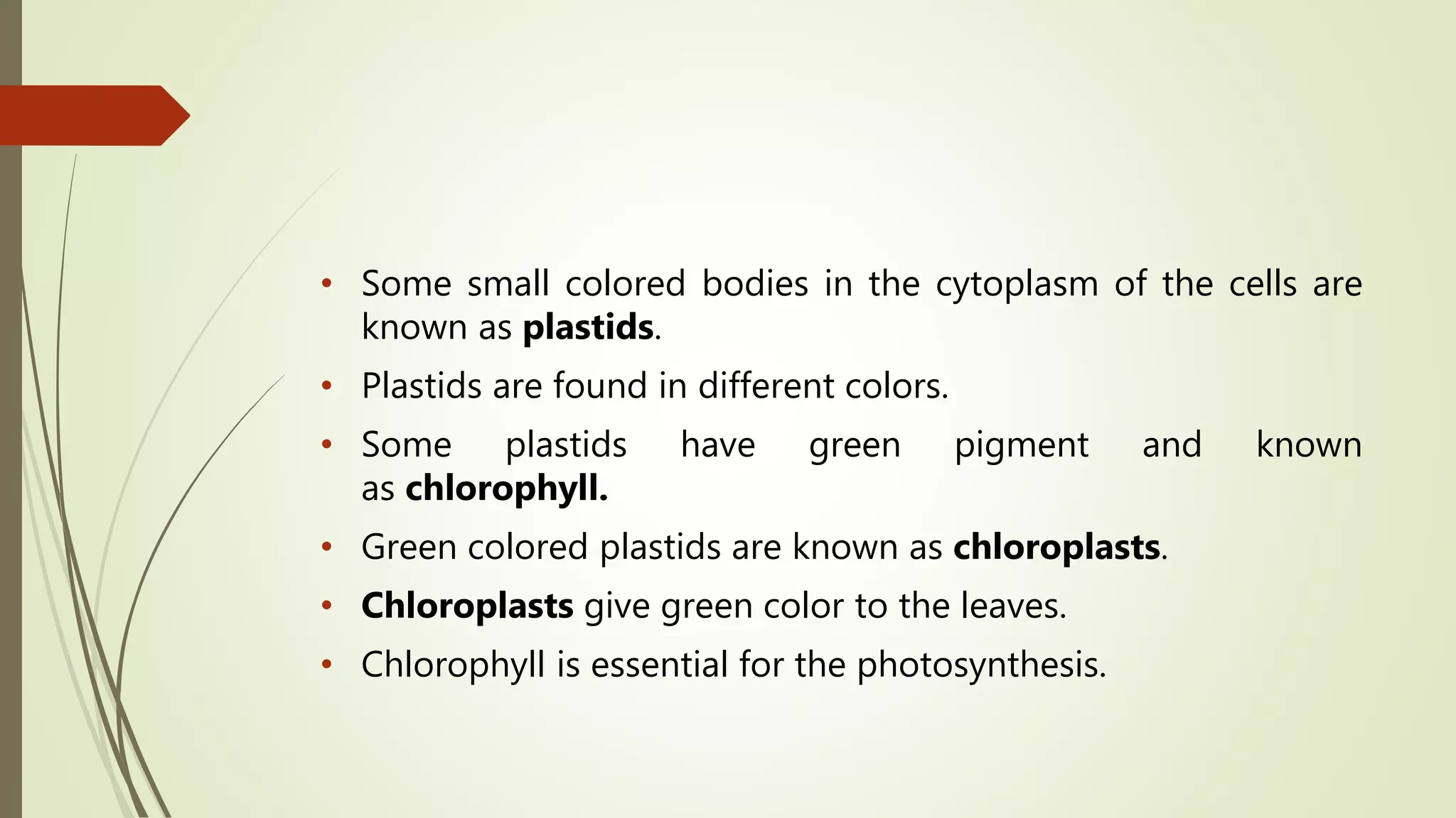 • Some small colored bodies in the cytoplasm of the cells are
known as plastids.
• Plastids are found in different colors.
• Some plastids have green pigment and known
as chlorophyll.
• Green colored plastids are known as chloroplasts.
• Chloroplasts give green color to the leaves.
• Chlorophyll is essential for the photosynthesis.
 