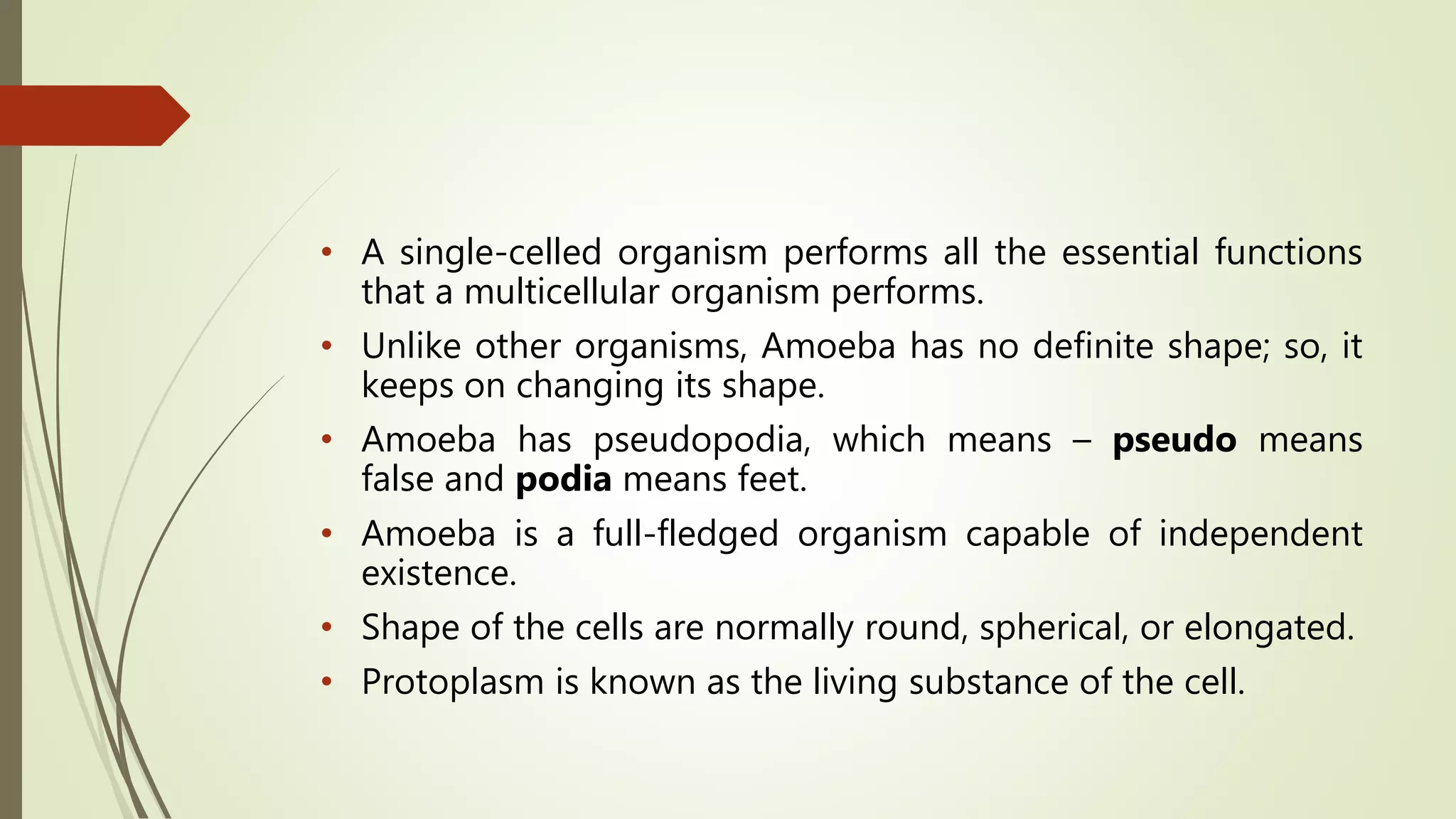 • A single-celled organism performs all the essential functions
that a multicellular organism performs.
• Unlike other organisms, Amoeba has no definite shape; so, it
keeps on changing its shape.
• Amoeba has pseudopodia, which means – pseudo means
false and podia means feet.
• Amoeba is a full-fledged organism capable of independent
existence.
• Shape of the cells are normally round, spherical, or elongated.
• Protoplasm is known as the living substance of the cell.
 