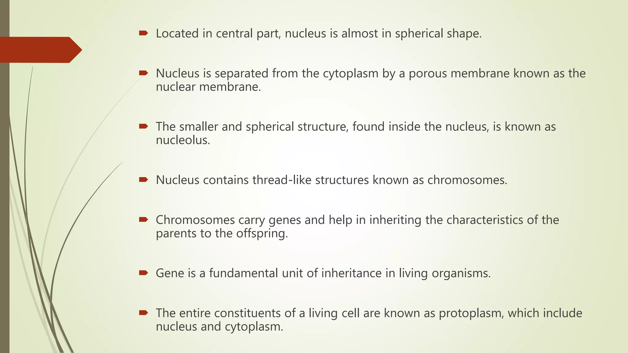  Located in central part, nucleus is almost in spherical shape.
 Nucleus is separated from the cytoplasm by a porous membrane known as the
nuclear membrane.
 The smaller and spherical structure, found inside the nucleus, is known as
nucleolus.
 Nucleus contains thread-like structures known as chromosomes.
 Chromosomes carry genes and help in inheriting the characteristics of the
parents to the offspring.
 Gene is a fundamental unit of inheritance in living organisms.
 The entire constituents of a living cell are known as protoplasm, which include
nucleus and cytoplasm.
 