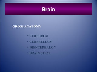 Brain
GROSS ANATOMY
• CEREBRUM
• CEREBELLUM
• DIENCEPHALON
• BRAIN STEM
 