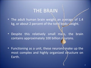 THE BRAIN
• The adult human brain weighs an average of 1.4
kg, or about 2 percent of the total body weight.
• Despite this relatively small mass, the brain
contains approximately 100 billion neurons.
• Functioning as a unit, these neurons make up the
most complex and highly organized structure on
Earth.
2
 