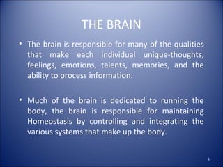 THE BRAIN
• The brain is responsible for many of the qualities
that make each individual unique-thoughts,
feelings, emotions, talents, memories, and the
ability to process information.
• Much of the brain is dedicated to running the
body, the brain is responsible for maintaining
Homeostasis by controlling and integrating the
various systems that make up the body.
3
 