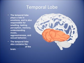 Temporal Lobe
• The temporal lobe
plays a role in
emotions, and is also
responsible for
smelling, tasting,
perception, memory,
understanding
music,
aggressiveness, and
sexual behavior.
• The temporal lobe
also contains the
language area of the
brain.
 