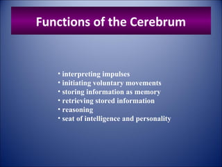 Functions of the Cerebrum
• interpreting impulses
• initiating voluntary movements
• storing information as memory
• retrieving stored information
• reasoning
• seat of intelligence and personality
 