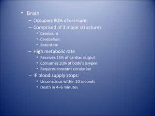 • Brain
– Occupies 80% of cranium
– Comprised of 3 major structures
• Cerebrum
• Cerebellum
• Brainstem
– High metabolic rate
• Receives 15% of cardiac output
• Consumes 20% of body’s oxygen
• Requires constant circulation
– IF blood supply stops:
• Unconscious within 10 seconds
• Death in 4–6 minutes
 