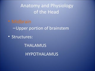Anatomy and Physiology
of the Head
• Midbrain
–Upper portion of brainstem
• Structures:
THALAMUS
HYPOTHALAMUS
 