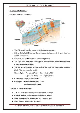 Structure and Functions of Cell.pdf