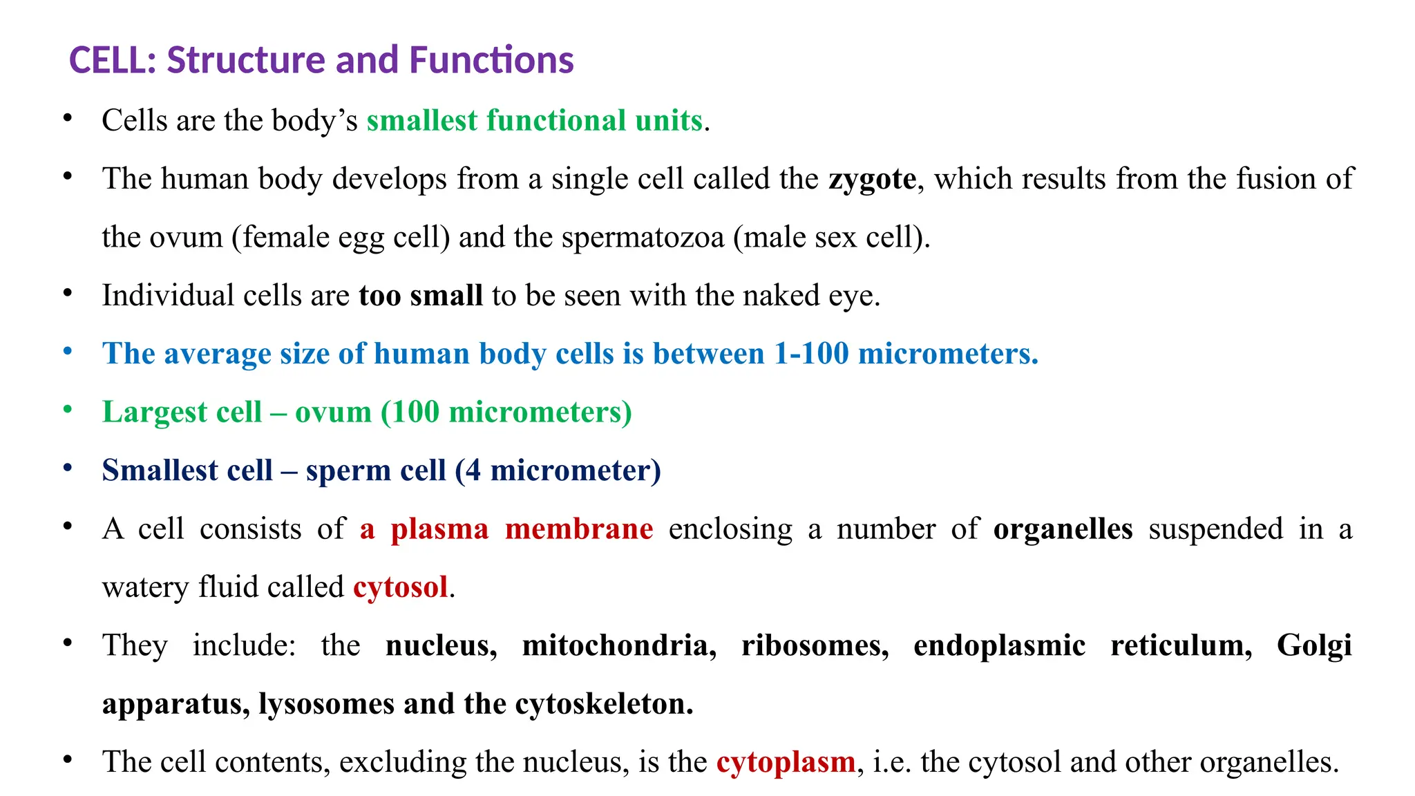 Picture of The AI workspace that works for you. | Notion