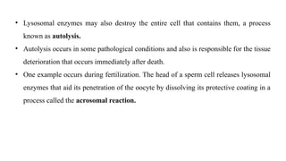 Structure and Functions of Cell (Unit I) | PPTX