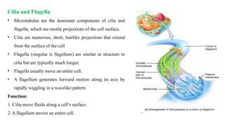 Structure and Functions of Cell (Unit I) | PPTX